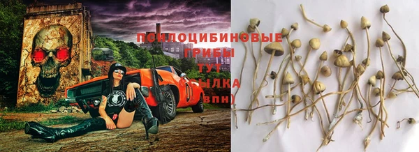 наркотики Краснослободск