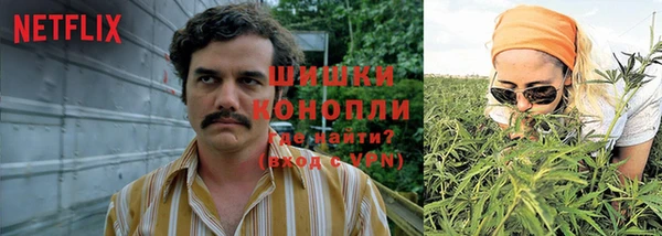 а пвп мука Бородино