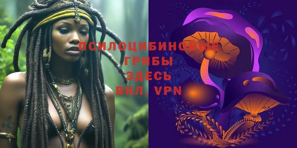 бошки Краснотурьинск