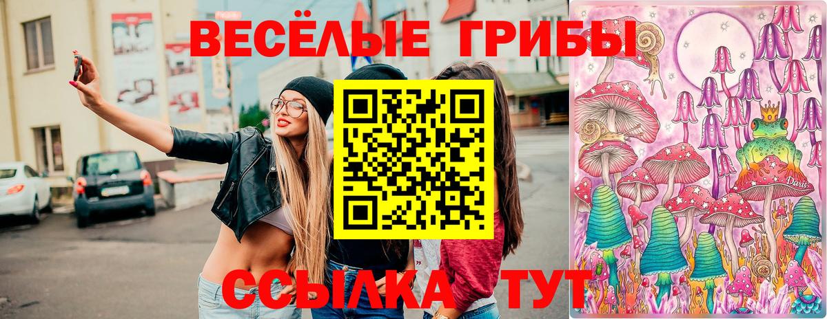 Елабуга  Псилоцибиновые грибы GOLDEN TEACHER  Вход с VPN  Галлюциногенные грибы Psilocybine cubensis 