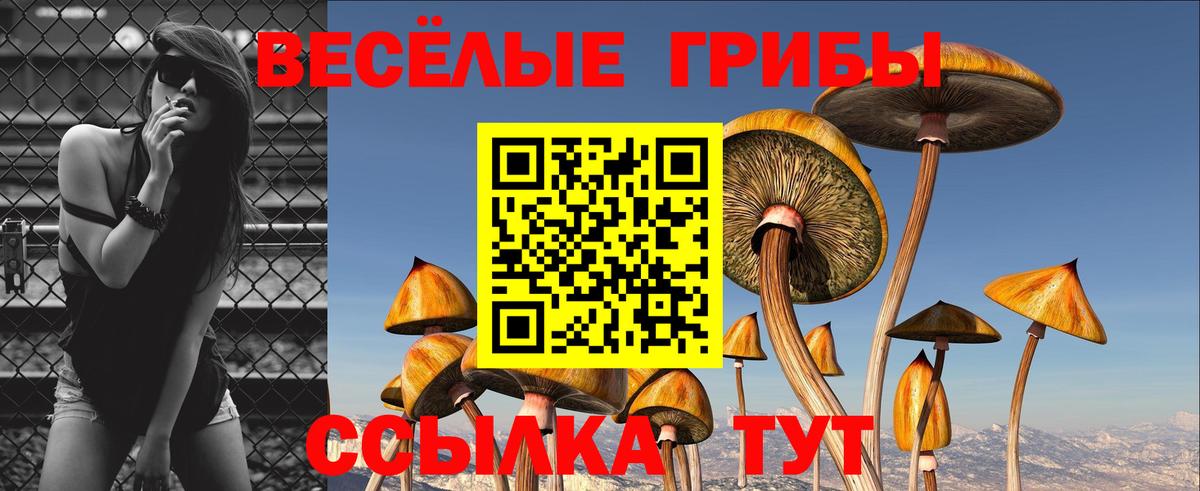 Псилоцибиновые грибы MAGIC MUSHROOMS  Галлюциногенные грибы мухоморы  Елабуга 