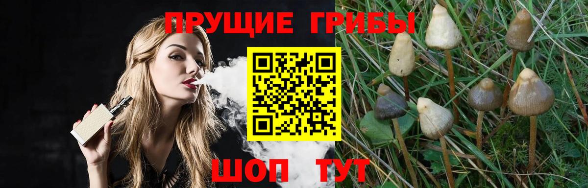 Псилоцибиновые грибы ЛСД Елабуга