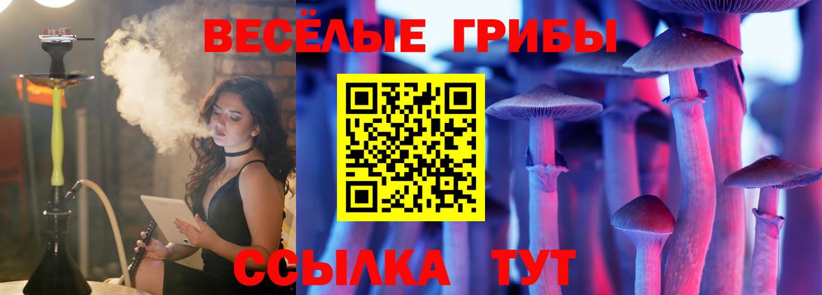 Псилоцибиновые грибы ЛСД Елабуга